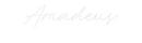 Personalized neon new Amadeus