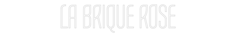 Neon personnalisé new LA BRIQUE ROSE
