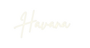 Custom Neon: Havana