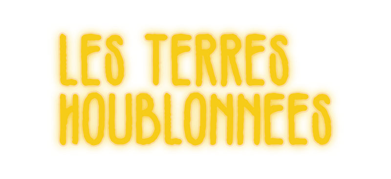 Versión francesa de neón personalizada Les Terres
H...