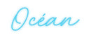 Custom Neon French Version Océan