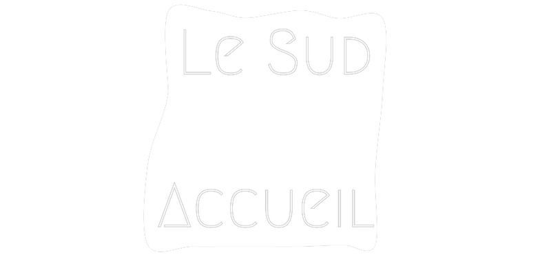 Neon personnalisé new Le Sud

Acc...