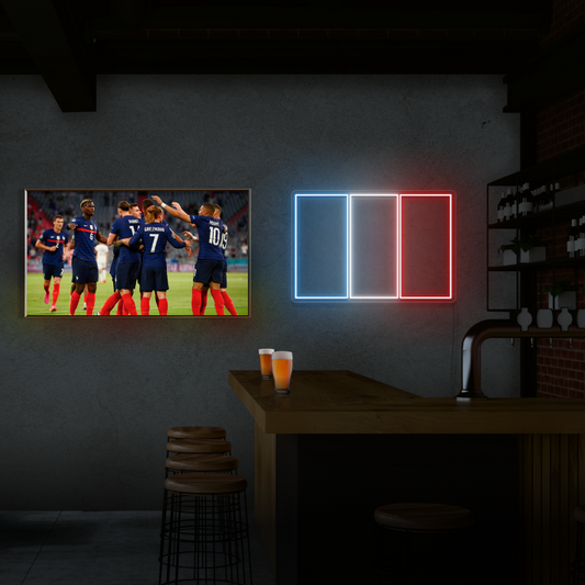 'FRENCH TEAM FLAG' - LED neon sign