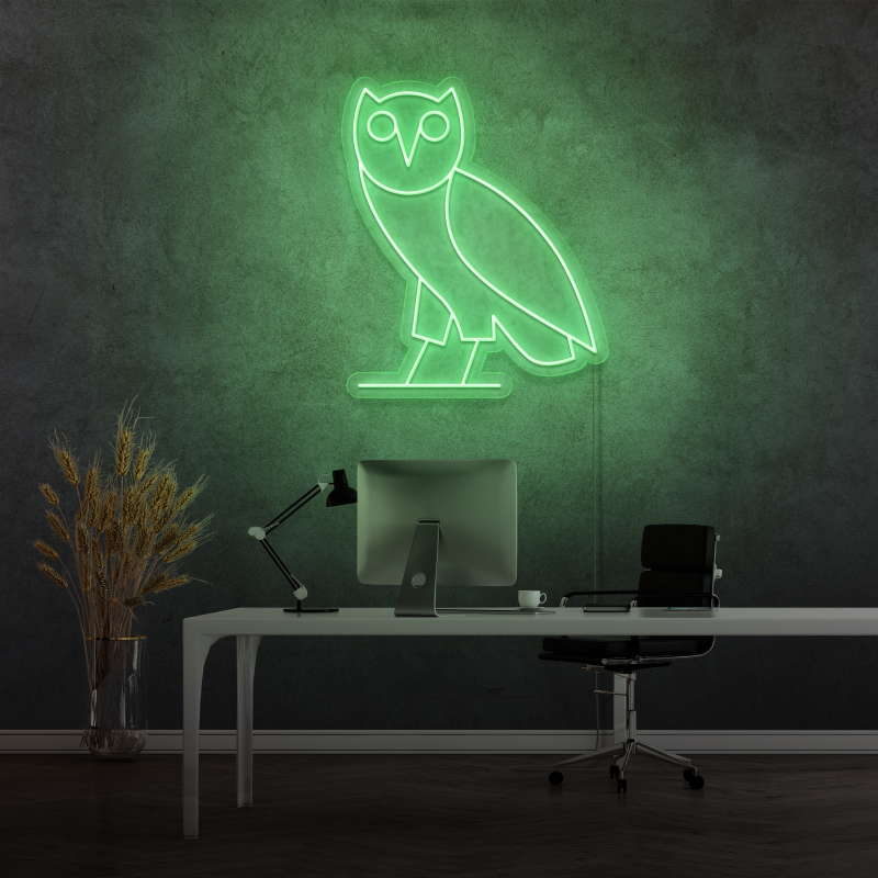 "OWLS" - letreiro de néon LED